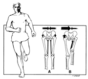 走っている時の股関節の動き
