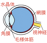 ç¼ç²¾ç²å´ã¨ç¼ç