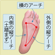 足の指変形と土踏まず