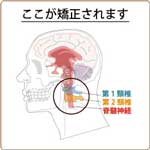 上部頚椎矯正の場所