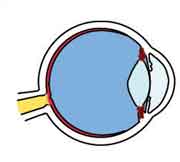 疲れ目・眼精疲労