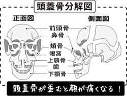 三叉神経 - Trigeminal nerve - JapaneseClass.jp