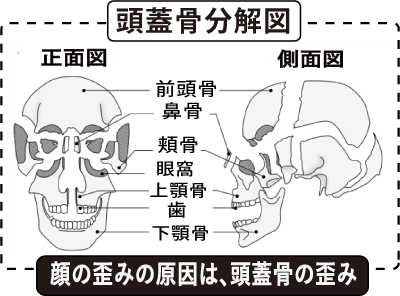 小顔にする 頭蓋骨矯正 表参道の無痛整体 十全治療院 港区南青山 東京